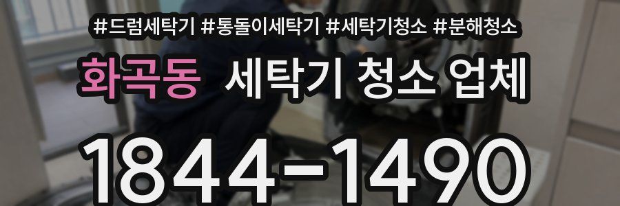 화곡동 세탁기 청소 업체