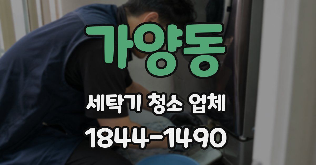 가양동 세탁기 청소 업체