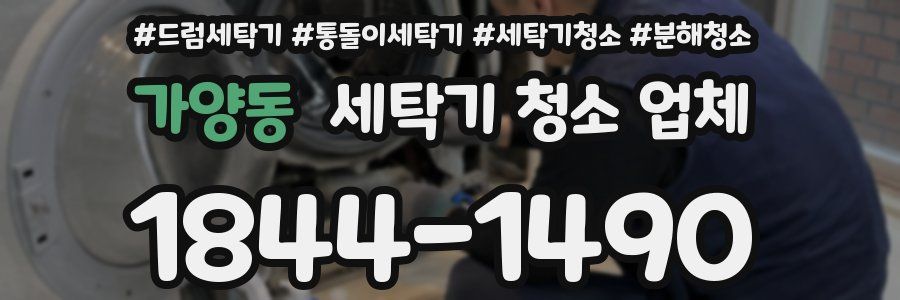 가양동 세탁기 청소 업체