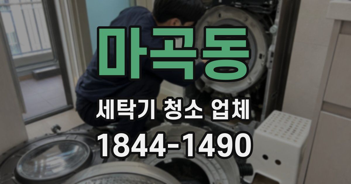 마곡동 세탁기 청소 업체