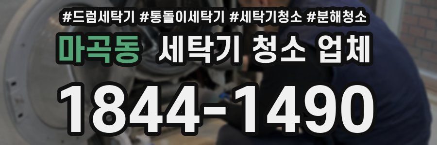 마곡동 세탁기 청소 업체