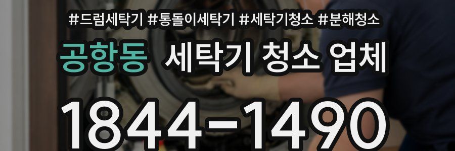 공항동 세탁기 청소 업체