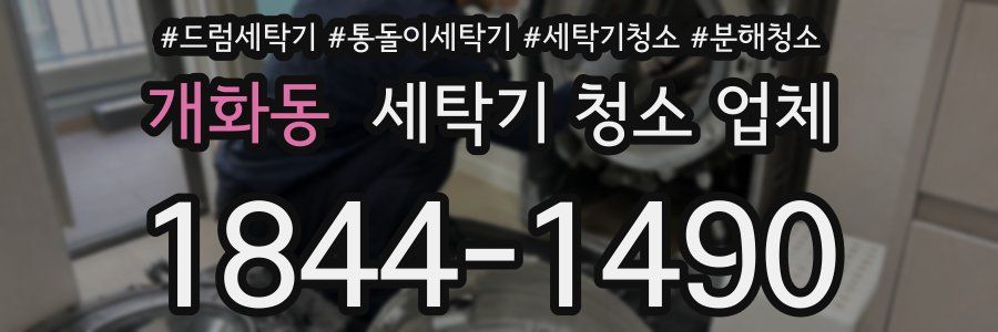 개화동 세탁기 청소 업체