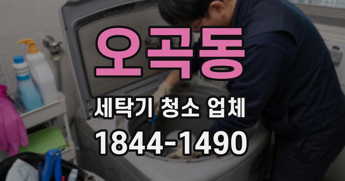 오곡동 세탁기 청소 업체