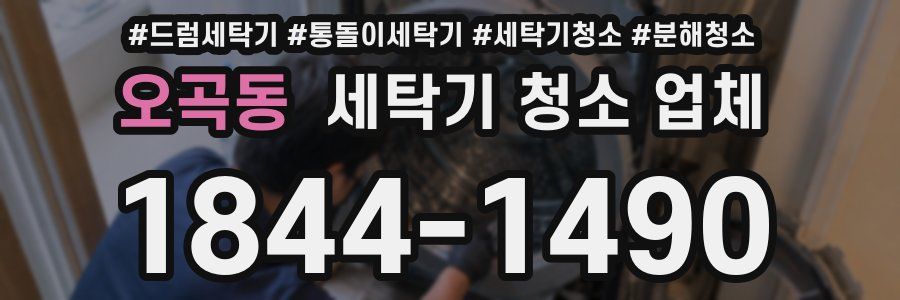 오곡동 세탁기 청소 업체