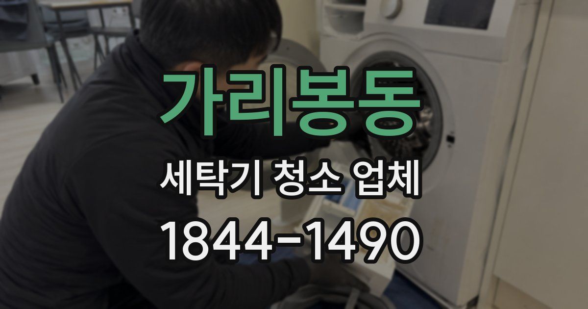 가리봉동 세탁기 청소 업체