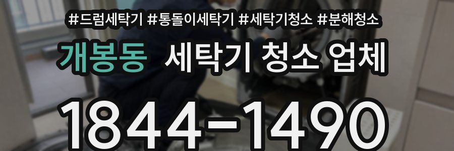 개봉동 세탁기 청소 업체