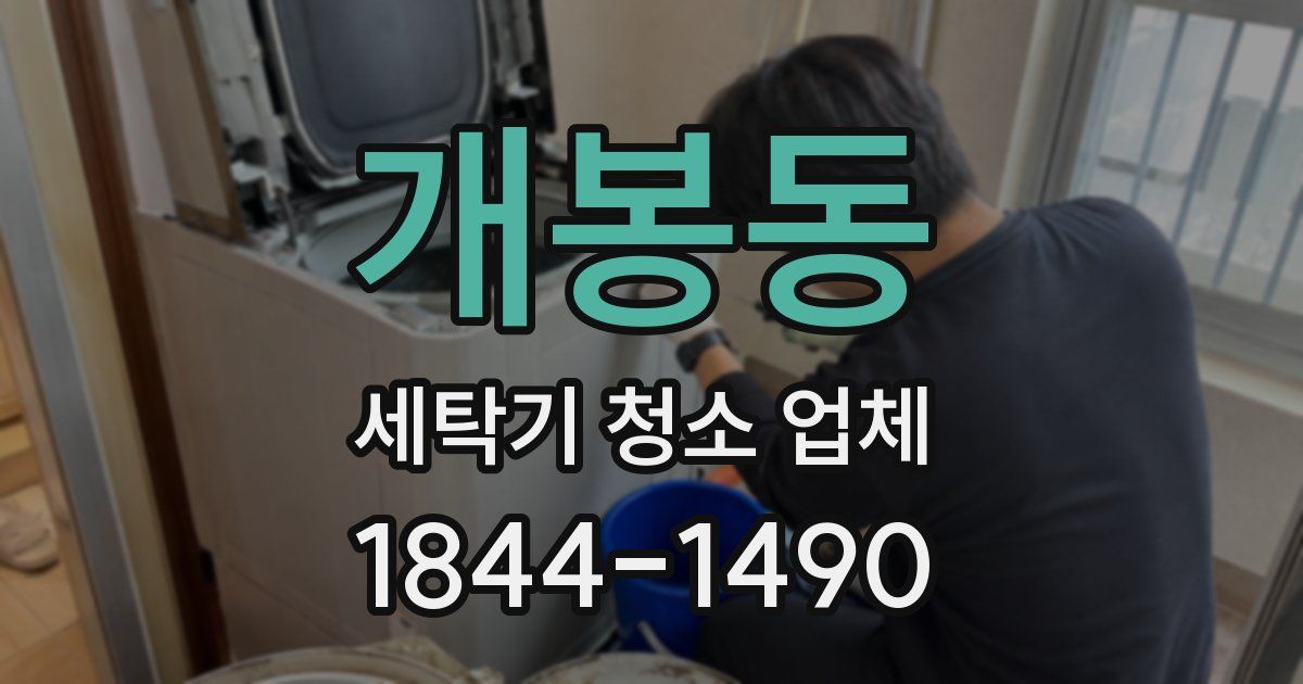 개봉동 세탁기 청소 업체