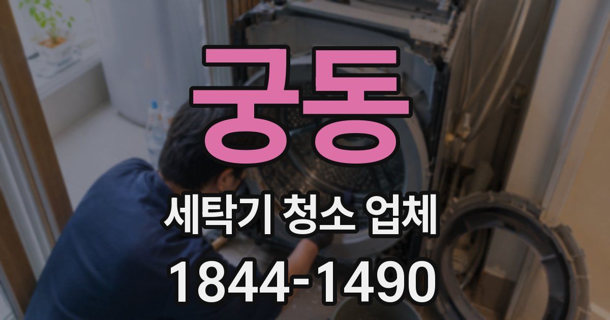궁동 세탁기 청소 업체