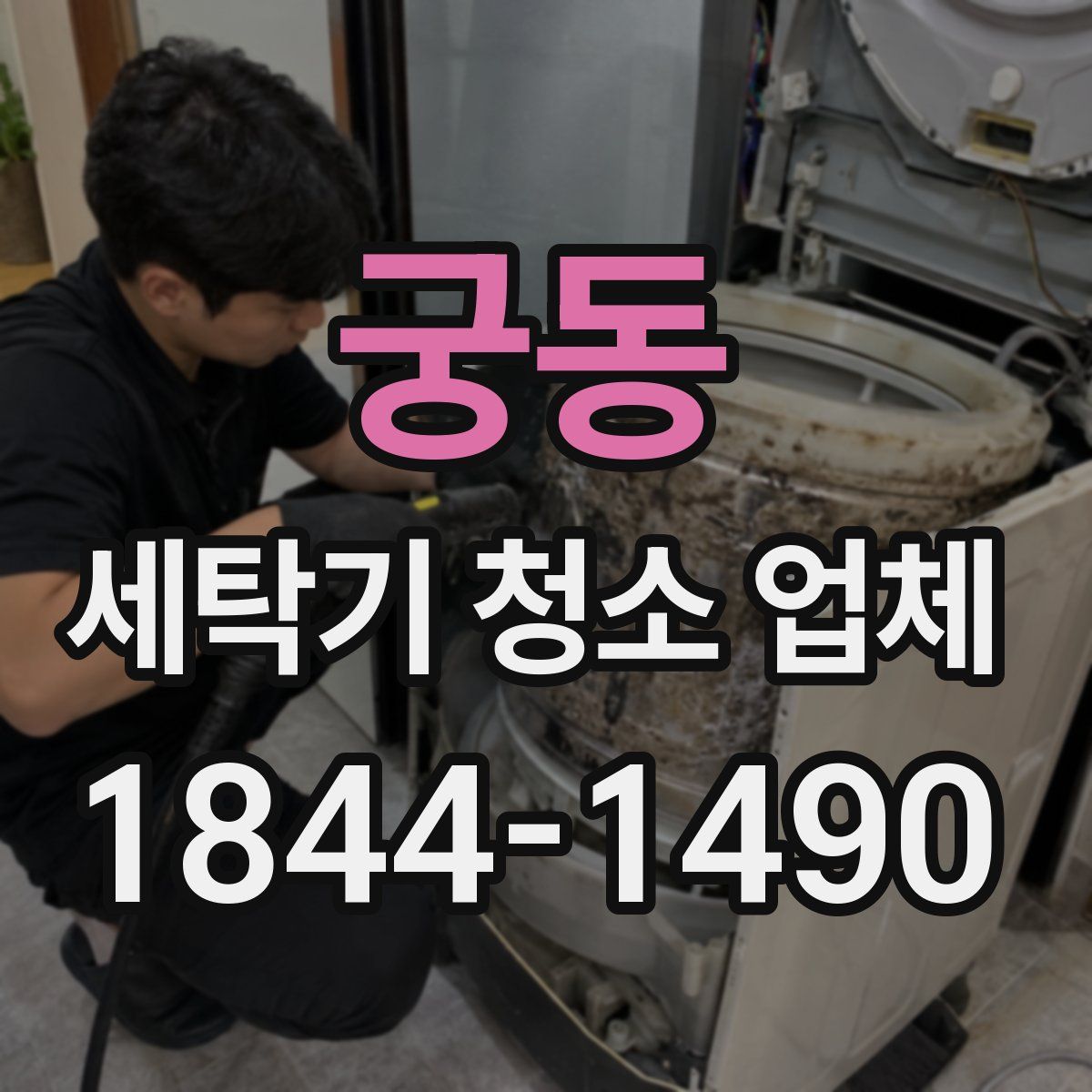 궁동 세탁기 청소 업체