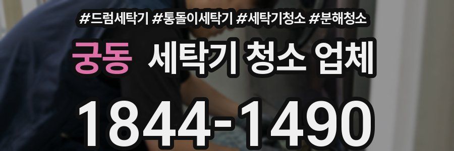 궁동 세탁기 청소 업체