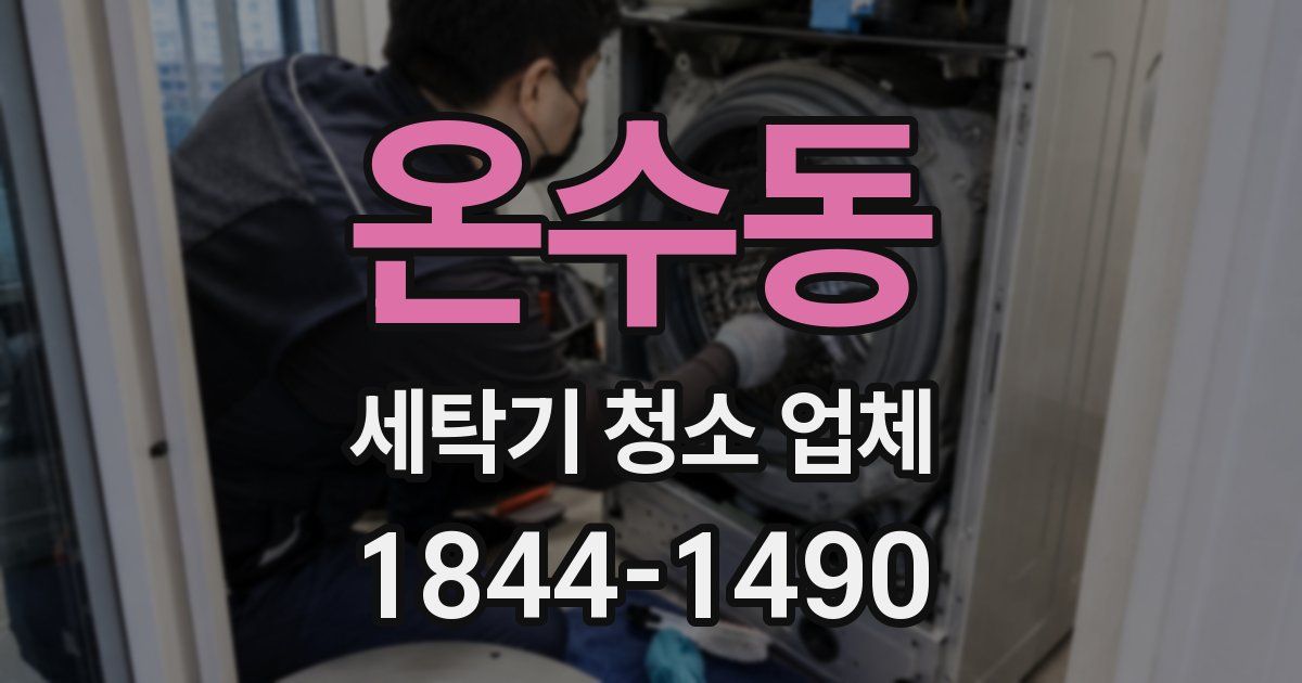 온수동 세탁기 청소 업체