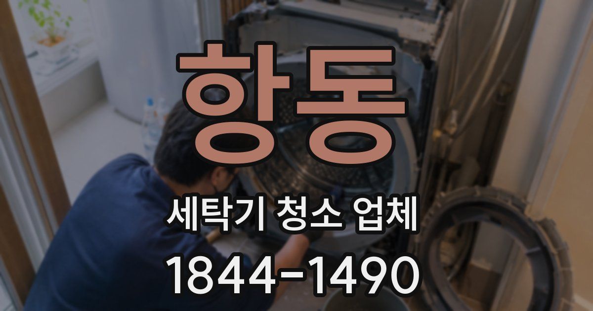 항동 세탁기 청소 업체