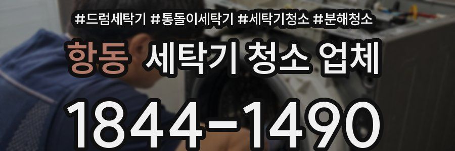 항동 세탁기 청소 업체