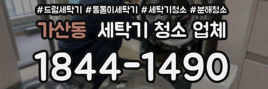 가산동 세탁기 청소 업체