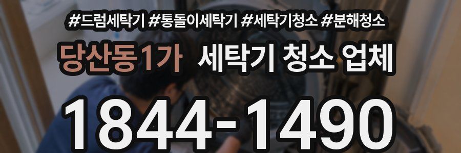 당산동1가 세탁기 청소 업체