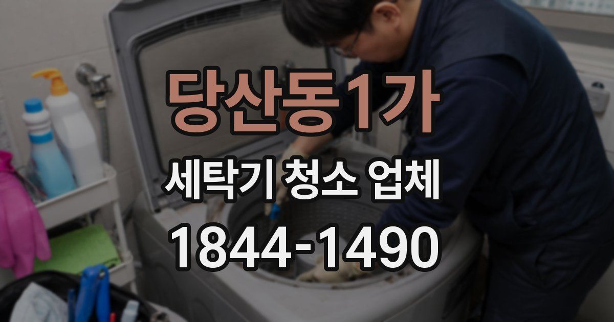 당산동1가 세탁기 청소 업체