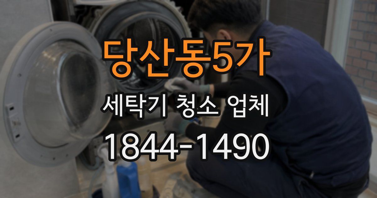당산동5가 세탁기 청소 업체