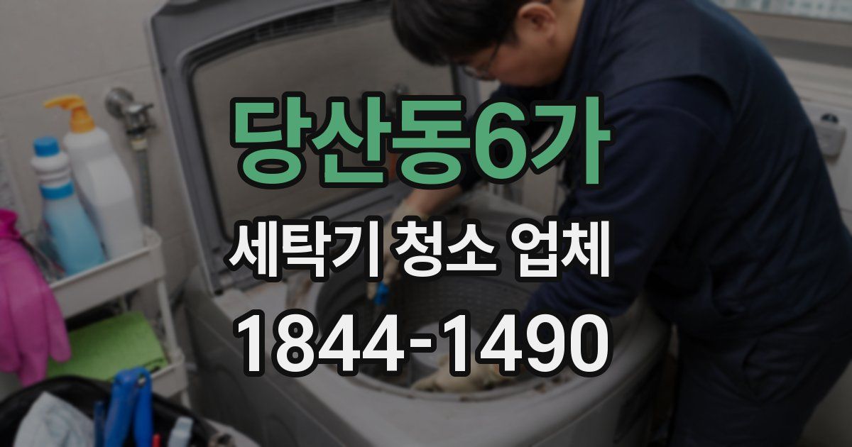 당산동6가 세탁기 청소 업체
