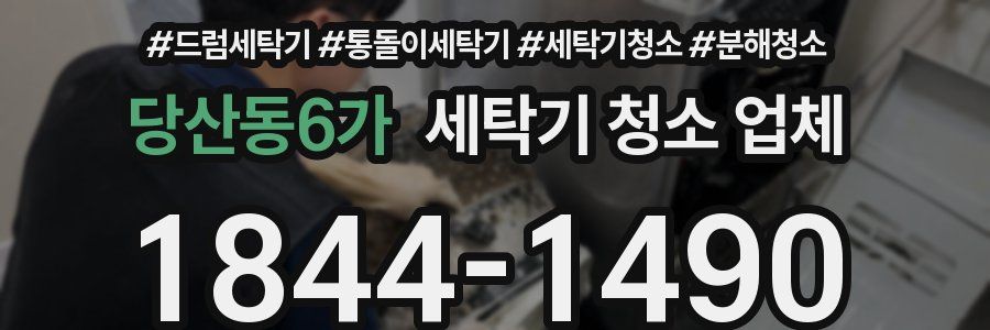당산동6가 세탁기 청소 업체