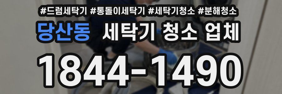 당산동 세탁기 청소 업체