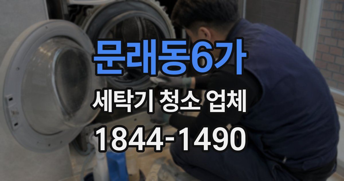 문래동6가 세탁기 청소 업체