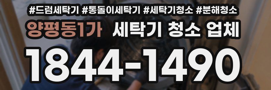 양평동1가 세탁기 청소 업체