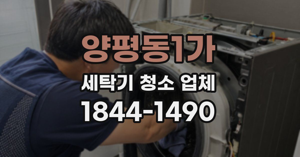 양평동1가 세탁기 청소 업체