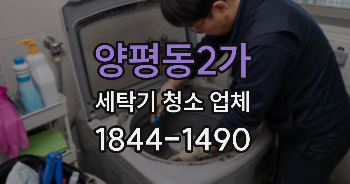 양평동2가 세탁기 청소 업체