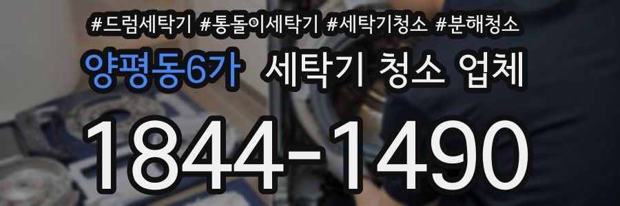 양평동6가 세탁기 청소 업체