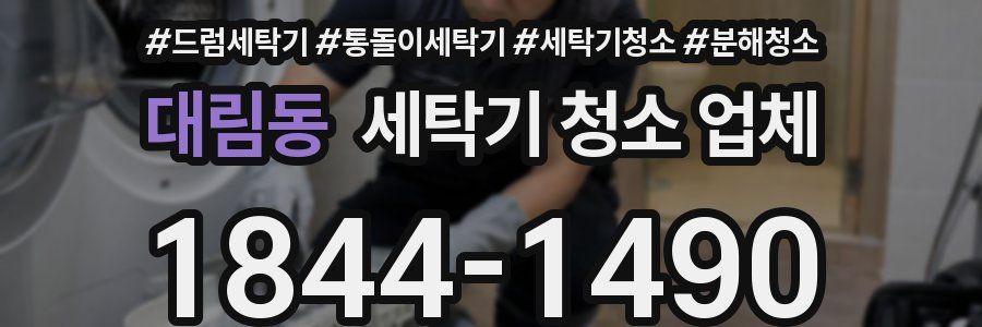 대림동 세탁기 청소 업체