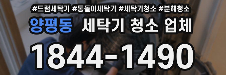 양평동 세탁기 청소 업체