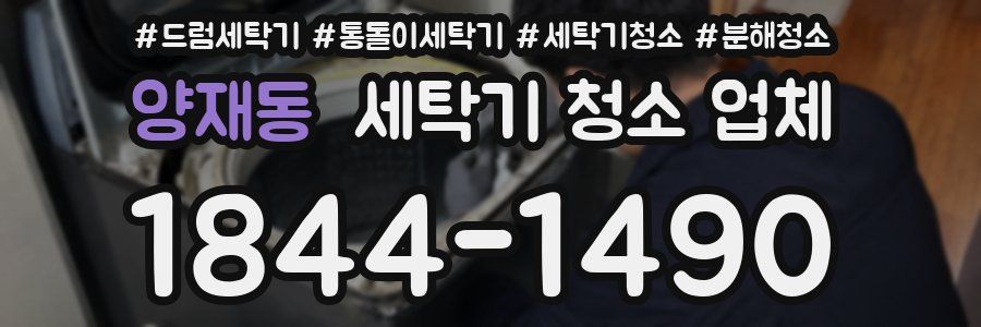 양재동 세탁기 청소 업체