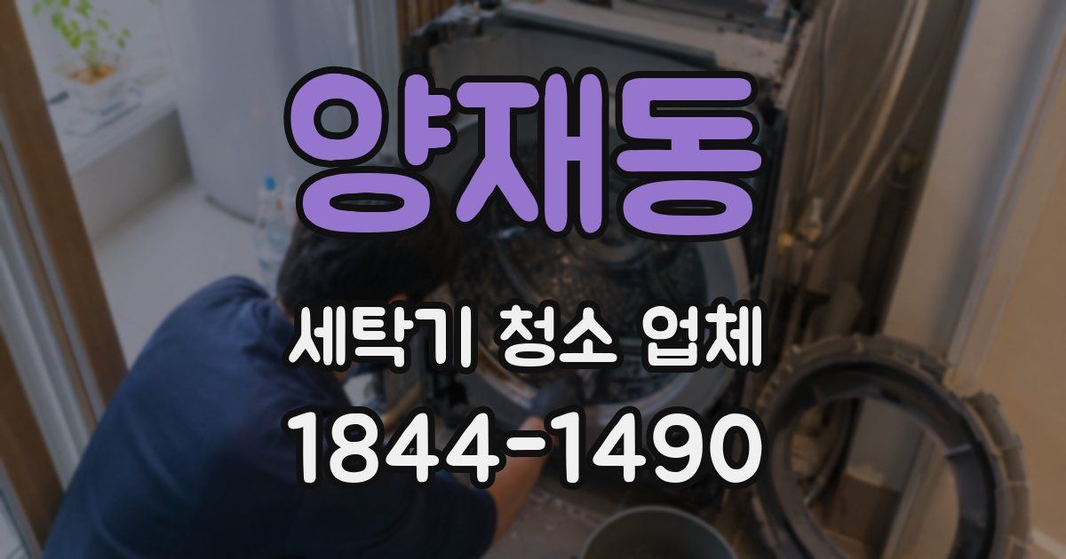 양재동 세탁기 청소 업체