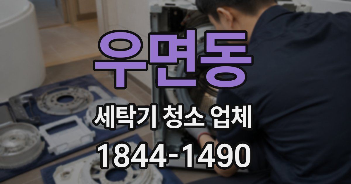 우면동 세탁기 청소 업체