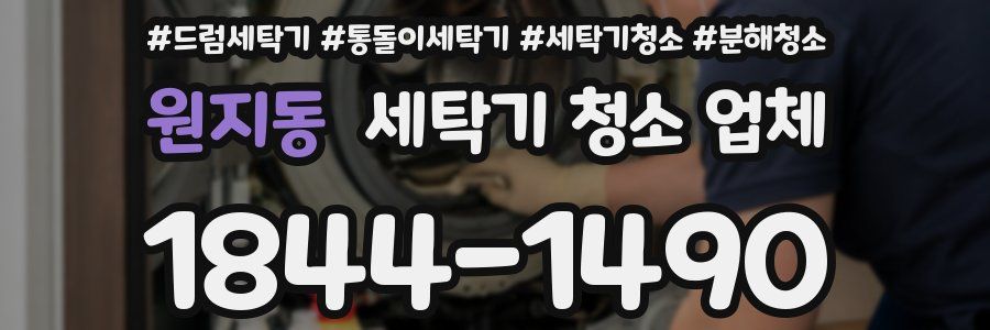 원지동 세탁기 청소 업체