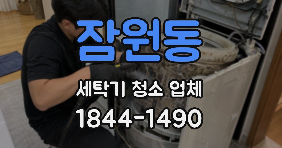 잠원동 세탁기 청소 업체