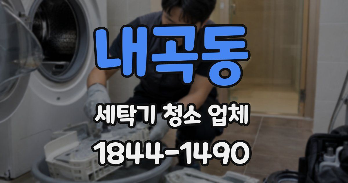 내곡동 세탁기 청소 업체