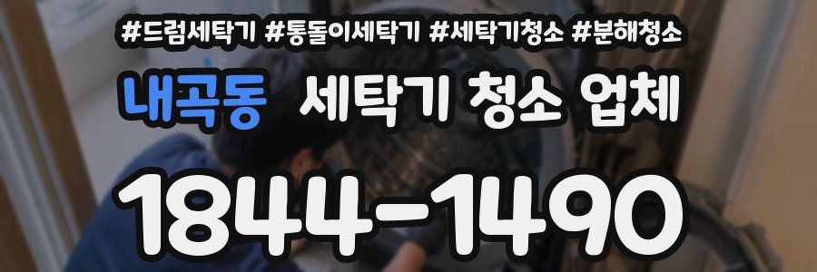 내곡동 세탁기 청소 업체
