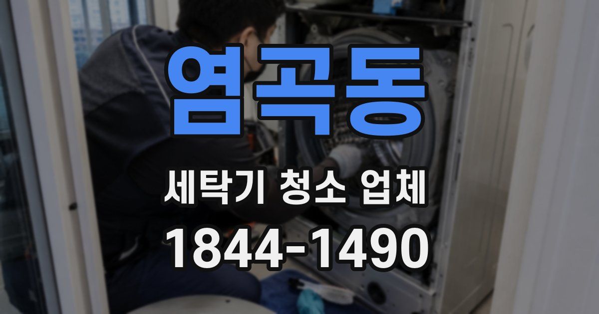 염곡동 세탁기 청소 업체