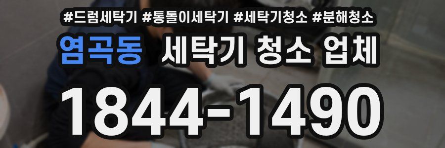 염곡동 세탁기 청소 업체