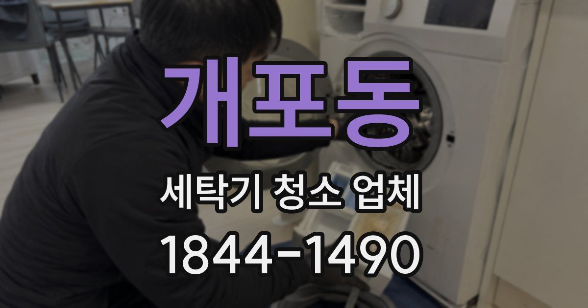 개포동 세탁기 청소 업체