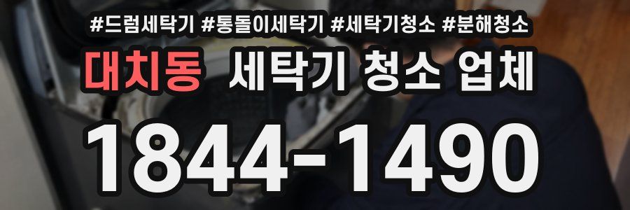 대치동 세탁기 청소 업체