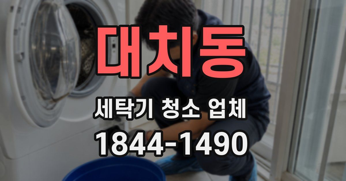 대치동 세탁기 청소 업체