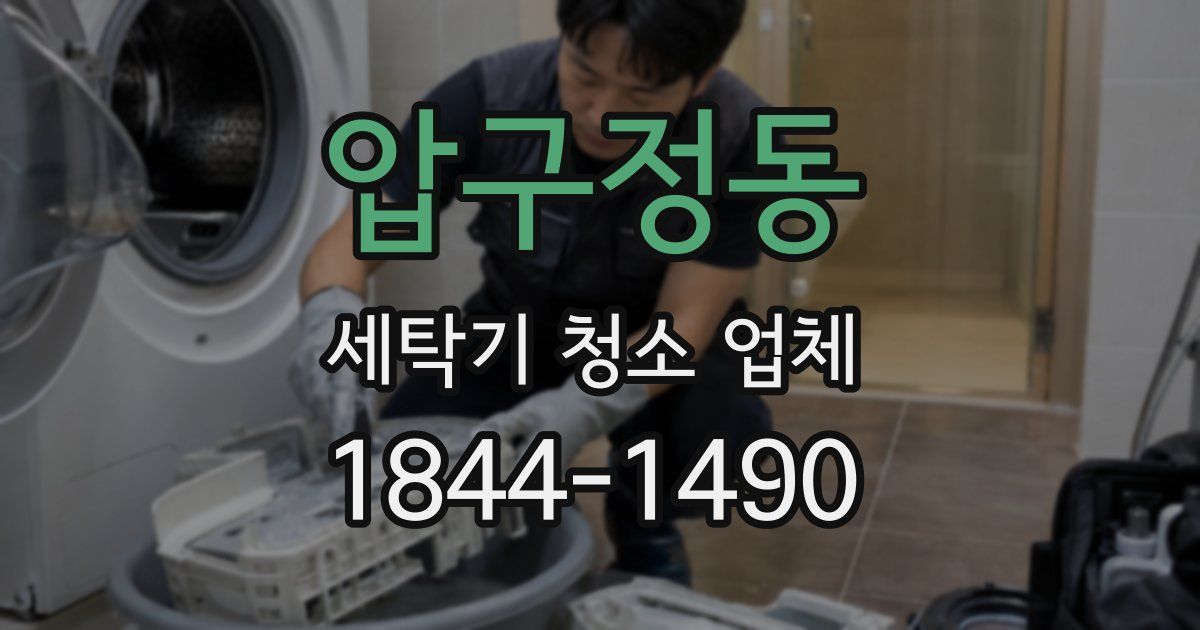 압구정동 세탁기 청소 업체