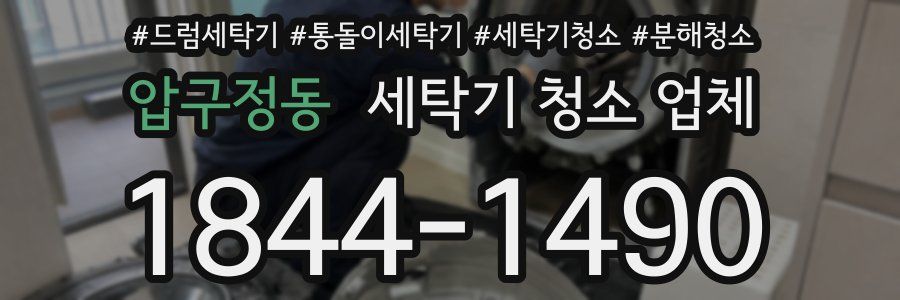 압구정동 세탁기 청소 업체