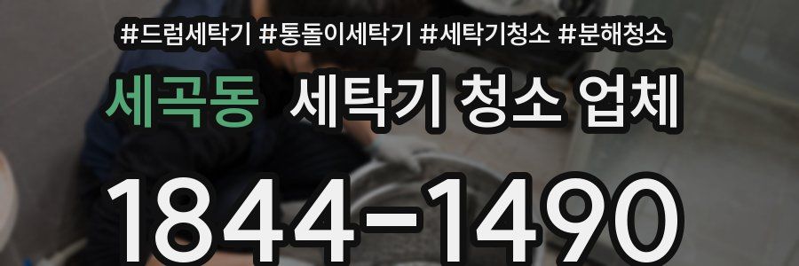 세곡동 세탁기 청소 업체