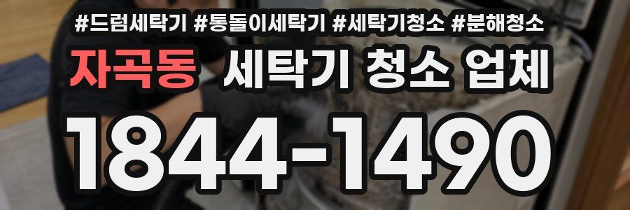 자곡동 세탁기 청소 업체