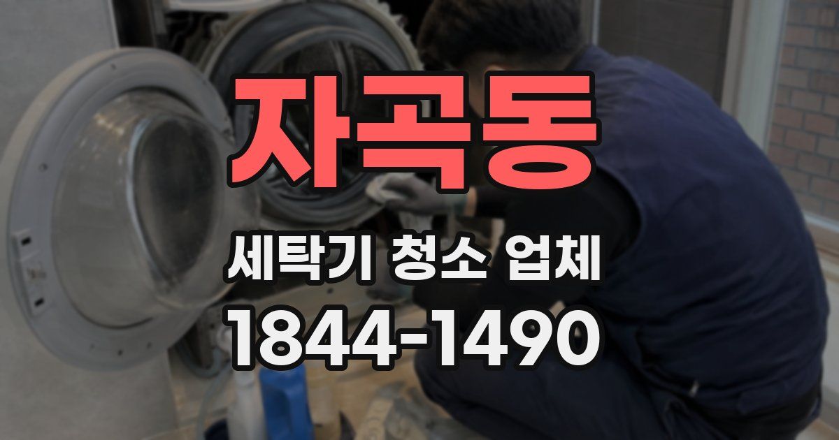자곡동 세탁기 청소 업체