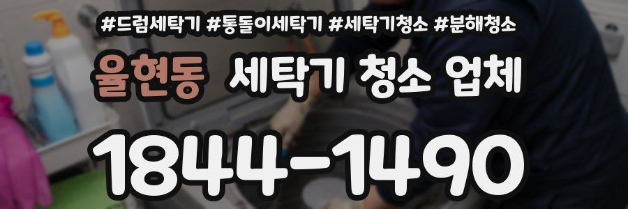 율현동 세탁기 청소 업체